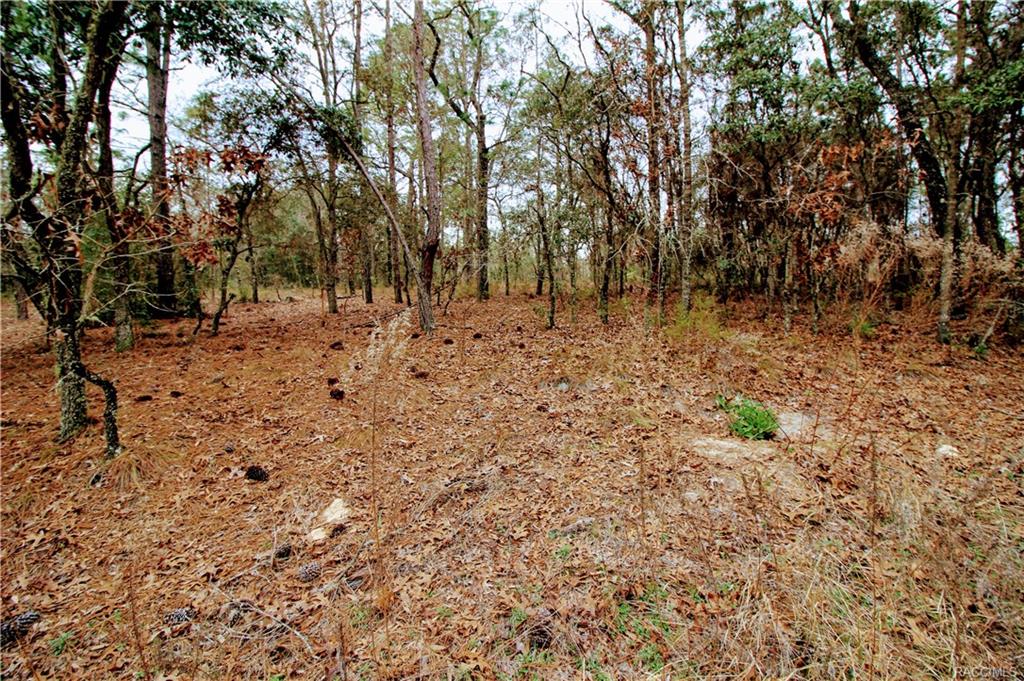 home for sale at in Citrus County