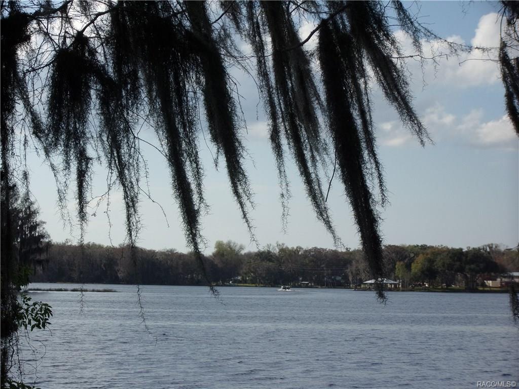 home for sale at 10080 E Gobbler Drive, Floral City, FL 34436 in Withlapopka Island