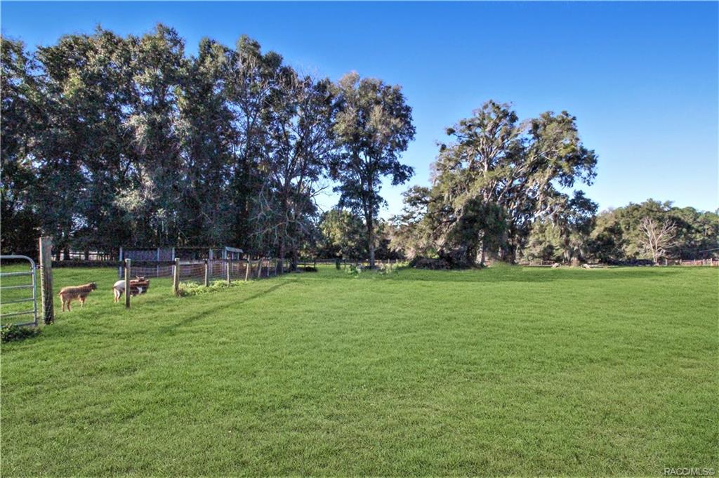 home for sale at 5825 NW Gainesville Road, Ocala, FL 34475 in Marion County