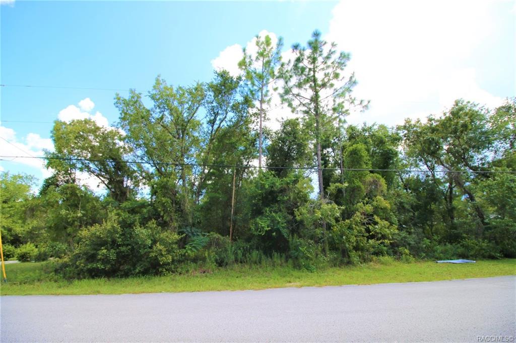 home for sale at 1634 E Cleveland Street, Hernando, FL 34442 in Citrus Hills - Presidential Estates