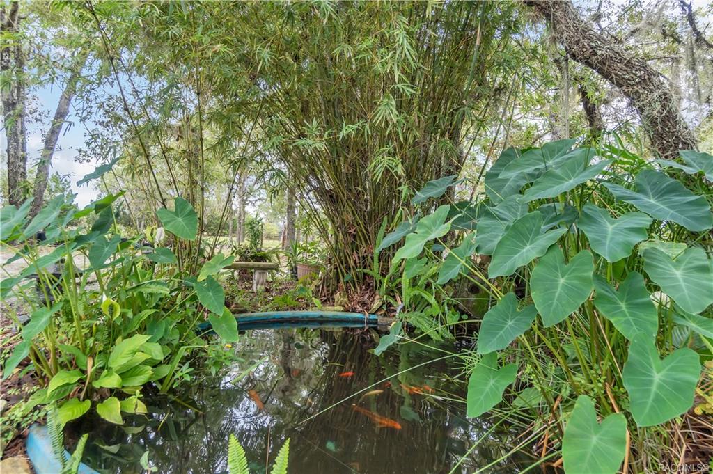 home for sale at 9350 SE Cr 337, Dunnellon, FL 34431 in Levy County