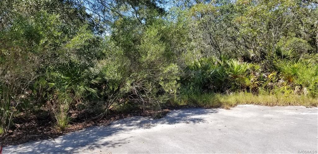 home for sale at 10240 W Ozello Trail, Crystal River, FL 34429 in Citrus County