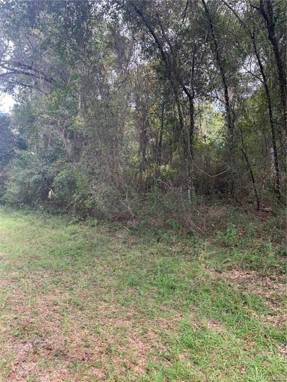 home for sale at 921, 918, 922, 926 E Abend Drive, Citrus Springs, FL 34434 in Citrus Springs