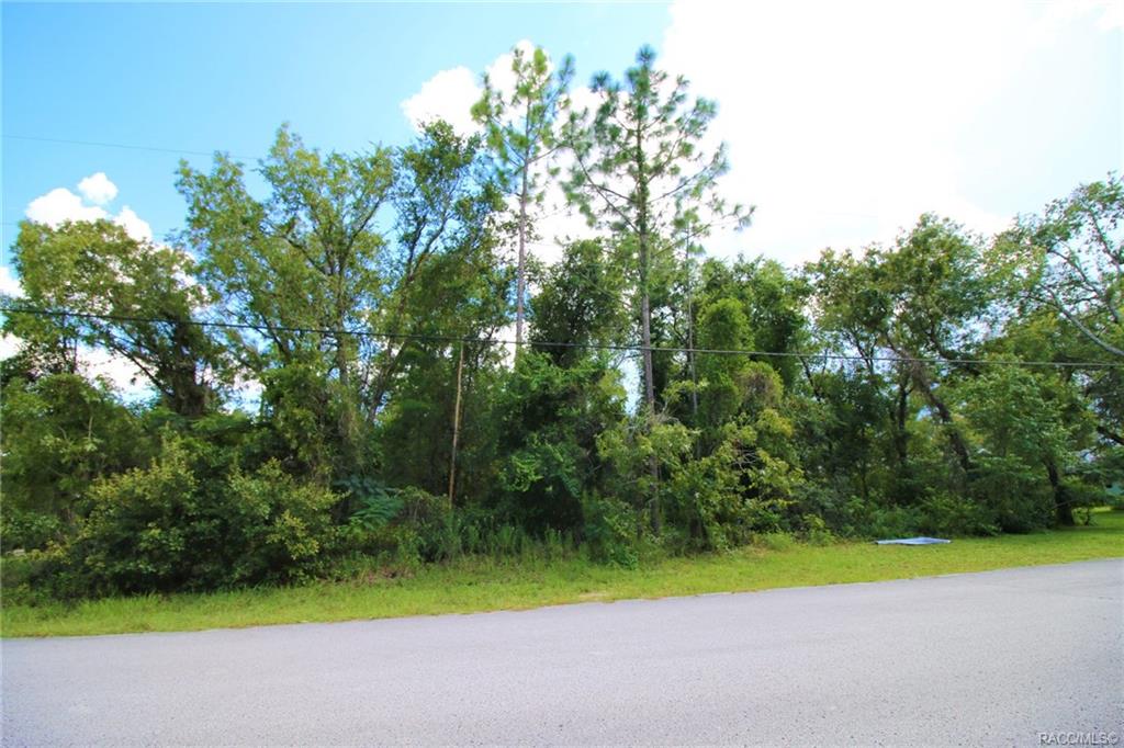 home for sale at 1634 E Cleveland Street, Hernando, FL 34442 in Citrus Hills - Presidential Estates