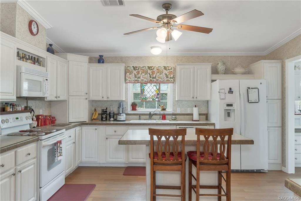 home for sale at 5168 W Rochelle Street, Homosassa, FL 34446 in Oak Forest Estates