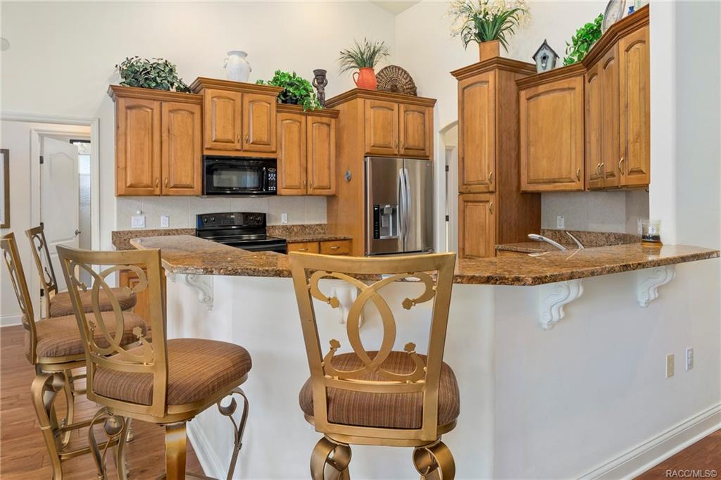 home for sale at 3096 W Bermuda Dunes Drive, Lecanto, FL 34461 in Black Diamond Ranch