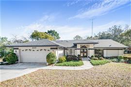 home for sale at 6025 N Lamp Post Drive, Beverly Hills, FL 34465 in Pine Ridge